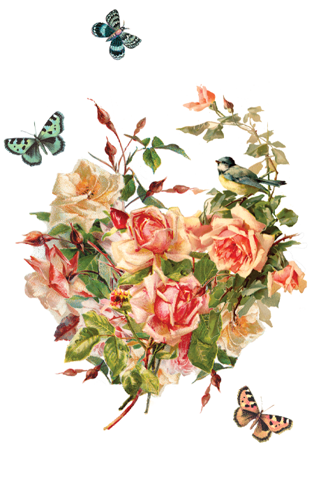 heart roses heart roses